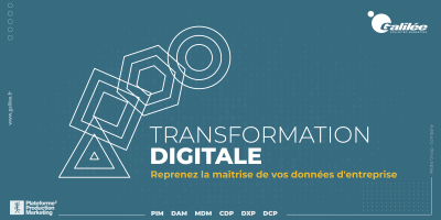 Transformation Digitale : reprendre la maîtrise de ses données d'entreprise