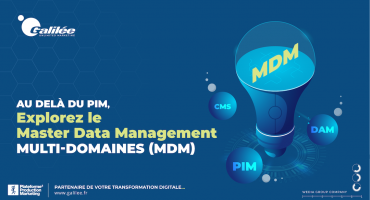 Explorez le Master Data Management multi-domaines