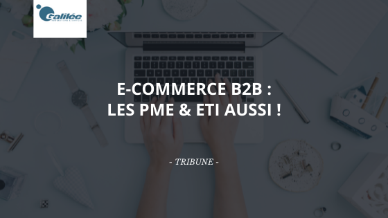 Tribune - E-COMMERCE B2B LES PME & ETI AUSSI !