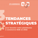 Distributeurs : 3 axes stratégiques pour booster votre plateforme e-commerce B2B en 2022